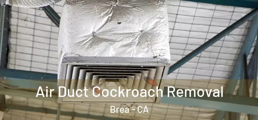  Air Duct Cockroach Removal Brea - CA