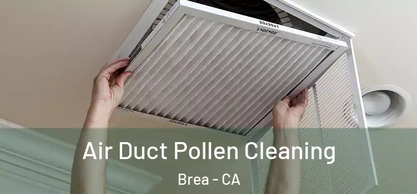  Air Duct Pollen Cleaning Brea - CA