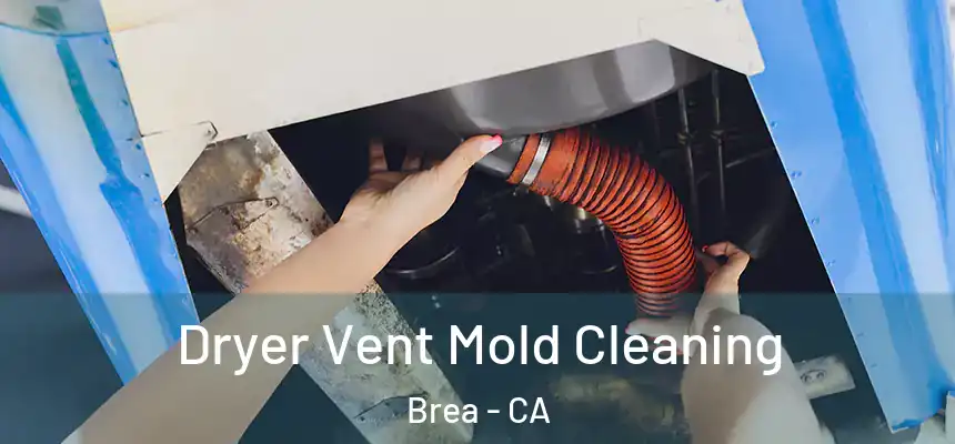  Dryer Vent Mold Cleaning Brea - CA