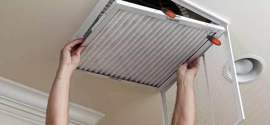 Our Insect Removal from Air Ducts Services in Brea, CA