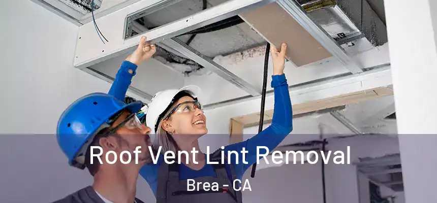  Roof Vent Lint Removal Brea - CA