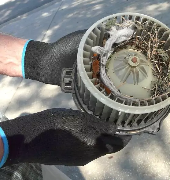 About Air Duct Rat Removal in Brea, CA