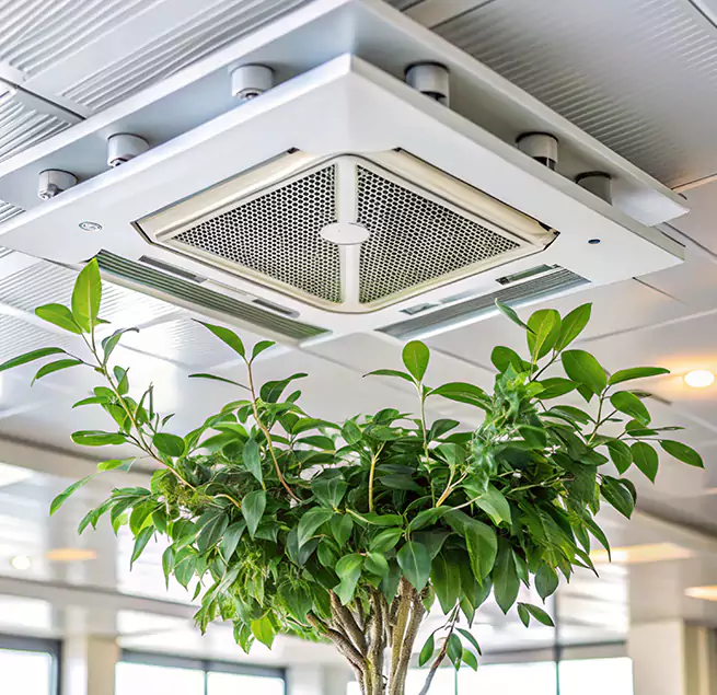 Why Homeowners & Businesses Trust Us in Brea, CA